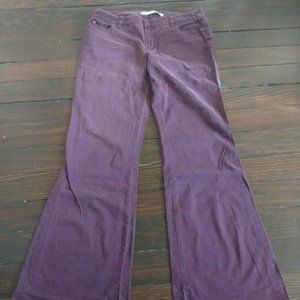 Express Burgundy Precision Fit Jeans | 12